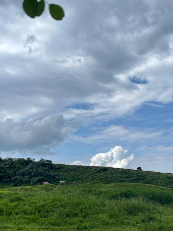 فندق Cabana A-Frame Cricov 9 Valea Lunga-Ogrea المظهر الخارجي الصورة